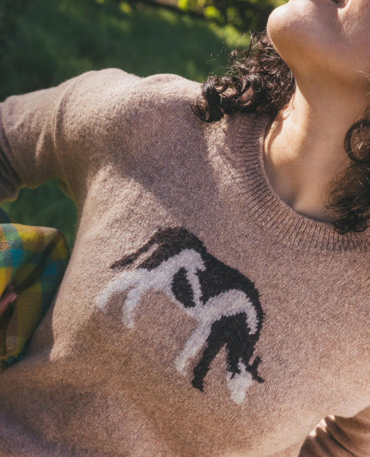 Women's Wasatch Crewneck Wool Sweater - Soft, Never Itchy Cattail Jacquard Pattern | Toad&Co Women