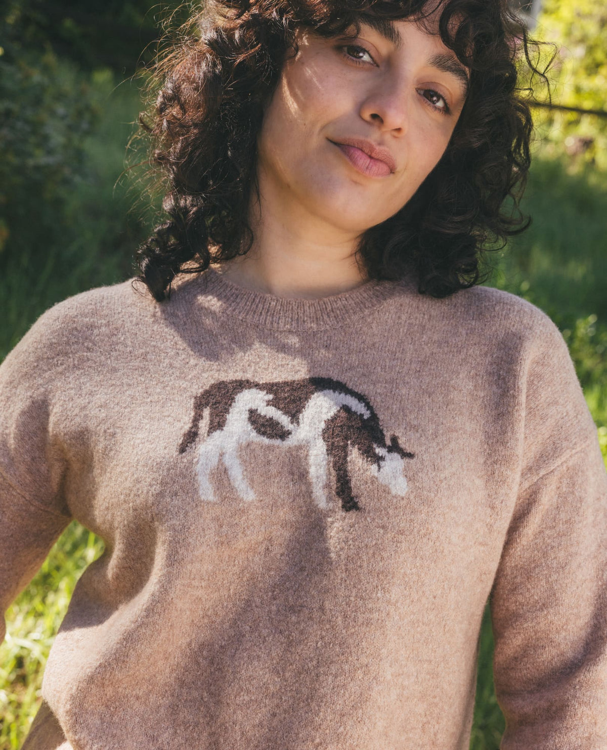Women's Wasatch Crewneck Wool Sweater - Soft, Never Itchy Cattail Jacquard Pattern | Toad&Co Women