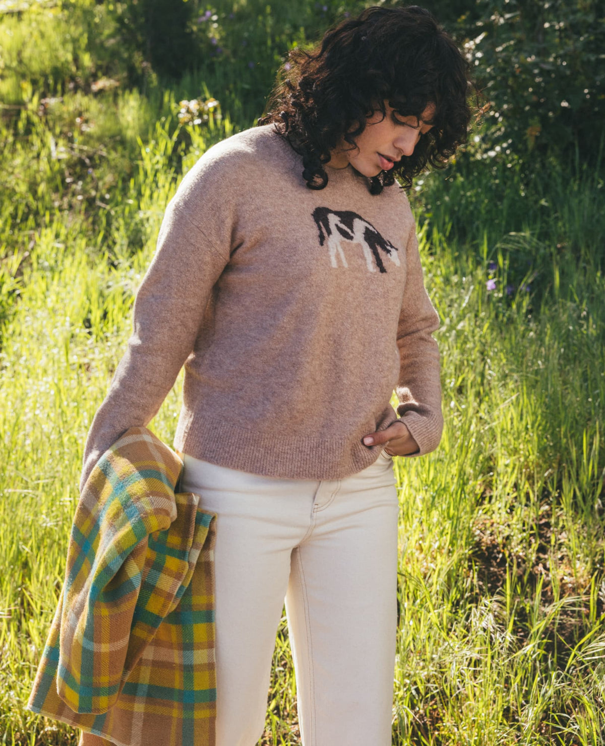 Women's Wasatch Crewneck Wool Sweater - Soft, Never Itchy Cattail Jacquard Pattern | Toad&Co Women