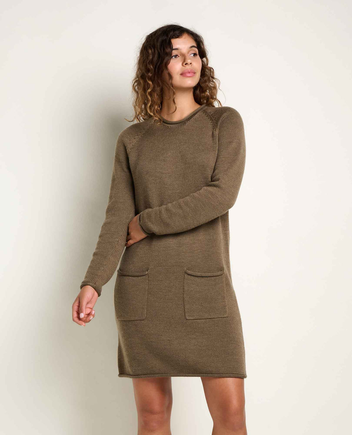Alpineglo Roll Neck Sweater Dress - Organic Cotton & Wool  | Toad&Co Women