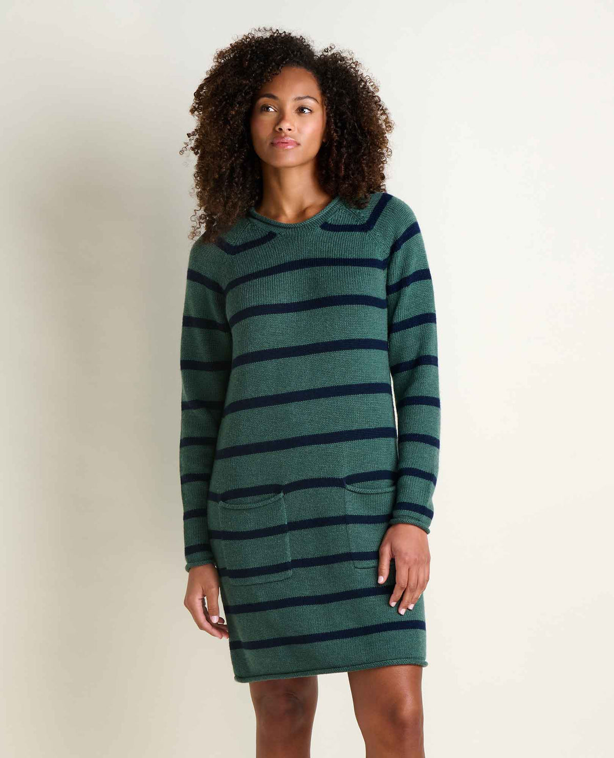 Alpineglo Roll Neck Sweater Dress - Organic Cotton & Wool  | Toad&Co Women