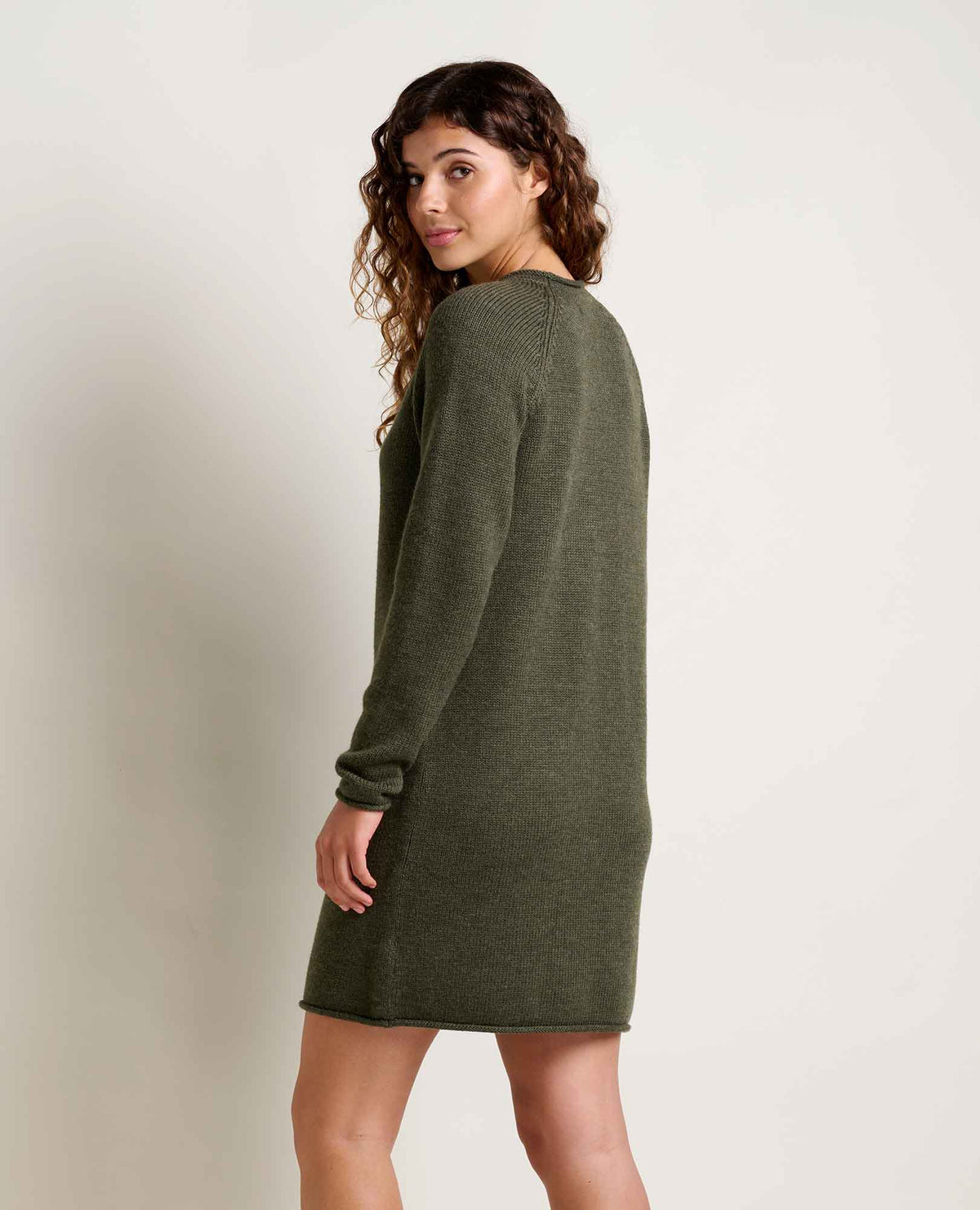 Alpineglo Roll Neck Sweater Dress - Organic Cotton & Wool  | Toad&Co Women