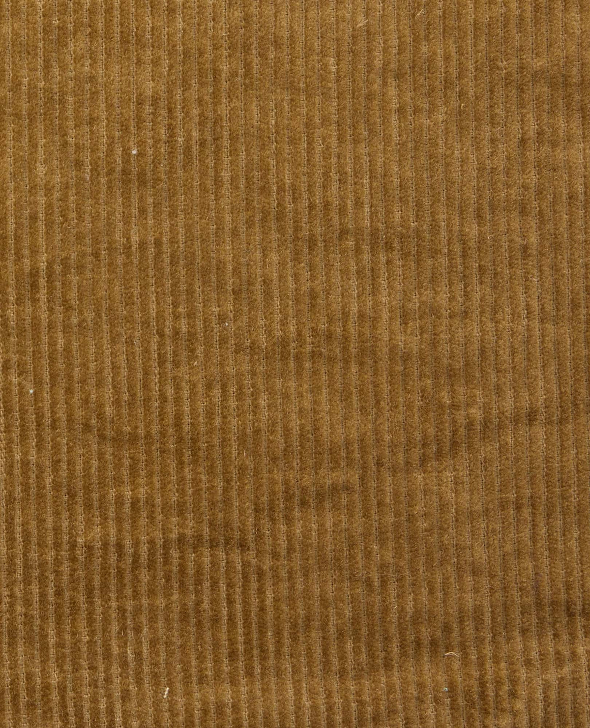 Super Soft Wide Wale Corduroy Popover Dress  | Toad&Co Women