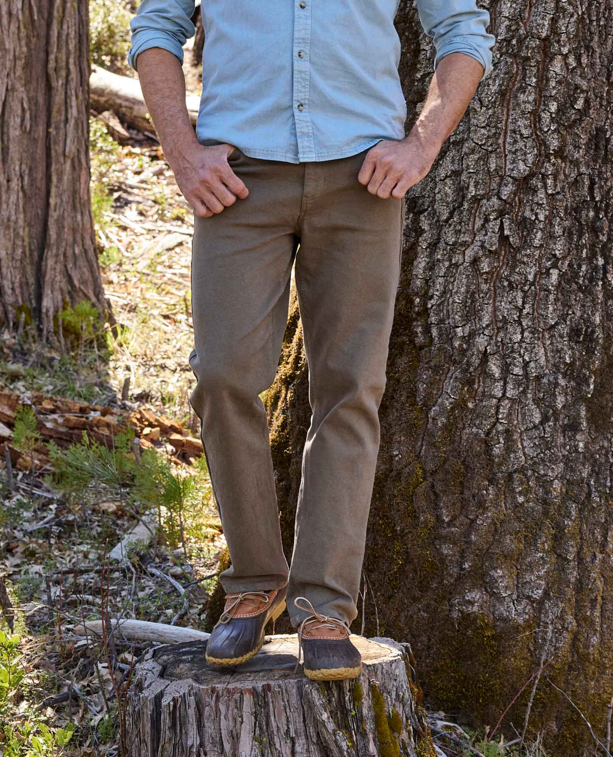 Balsam 5 Pocket Organic Cotton Jeans Fir | Toad&Co Men